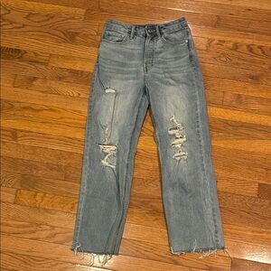 Wild Fable Distressed Denim Jeans